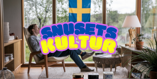 Snuset i Sverige