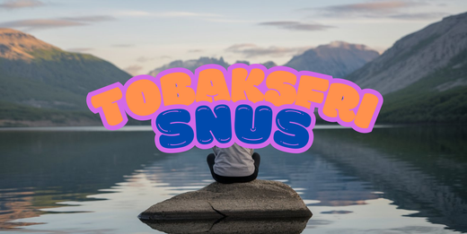 Tobaksfri snus