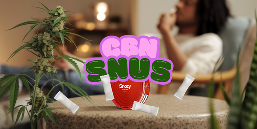 CBN snus